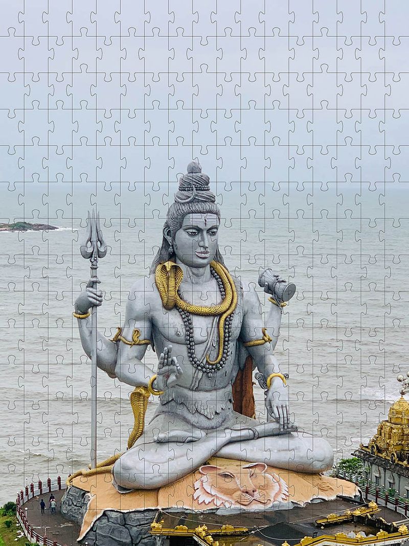 17316640996891