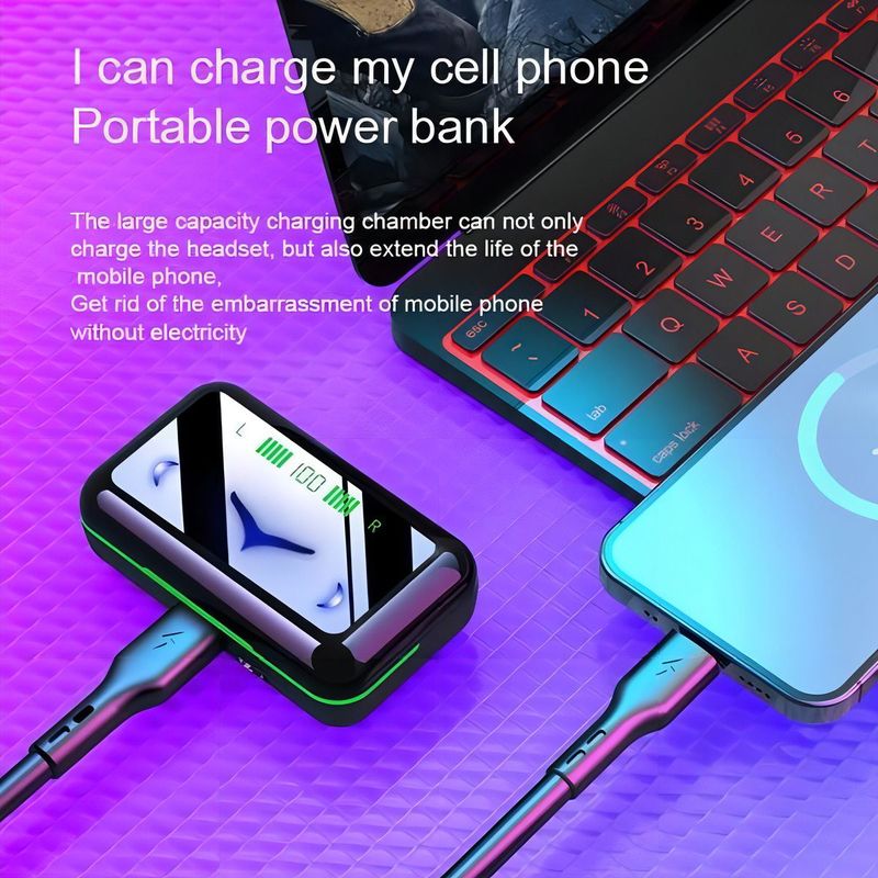 17316824941629