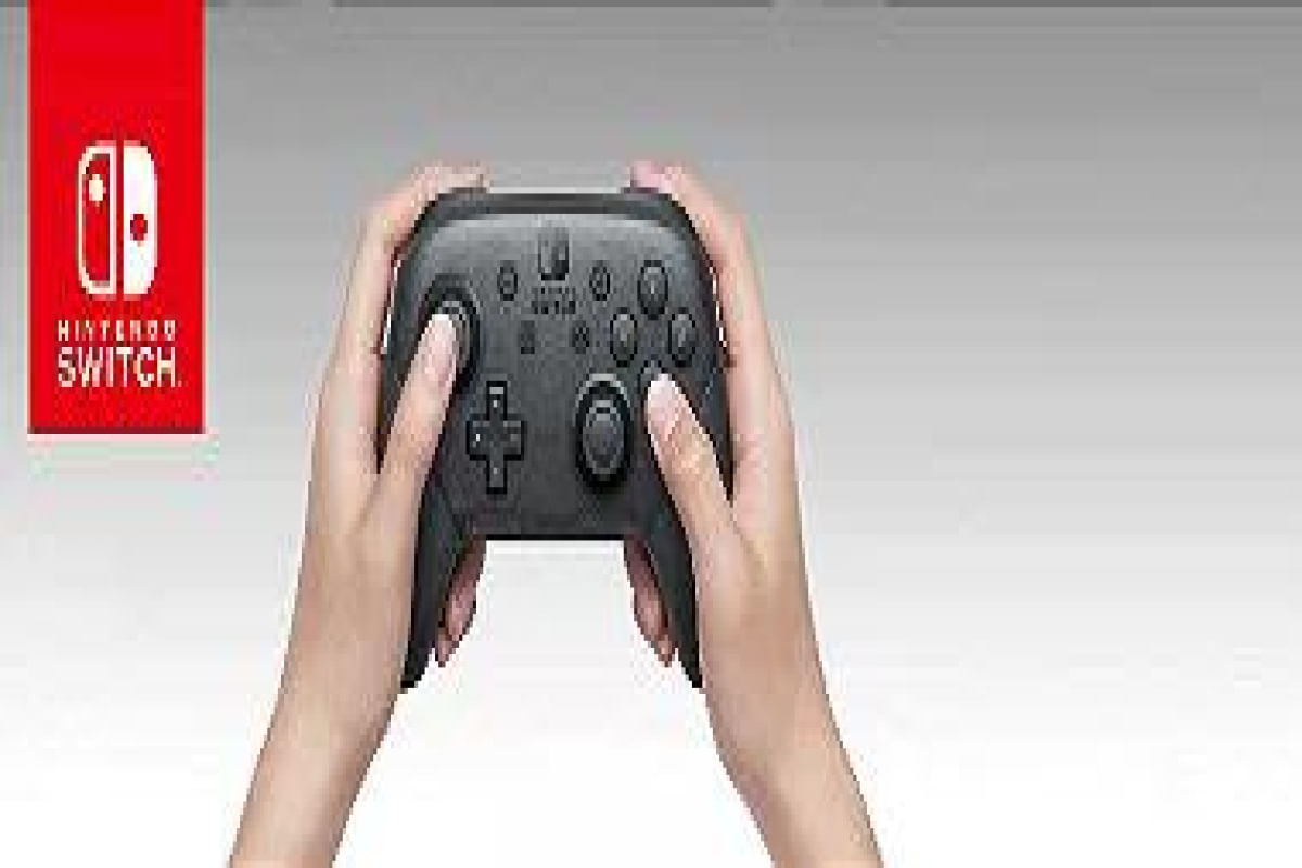 Nintendo switch pro offers controller