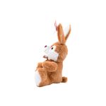 Pelucia---Coelho-Pascoa---30-cm---Modelos-Sortidos---FunFan-2