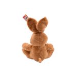 Pelucia---Coelho-Pascoa---30-cm---Modelos-Sortidos---FunFan-3