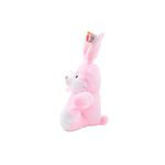 Pelucia---Coelho-Pascoa---30-cm---Modelos-Sortidos---FunFan-7