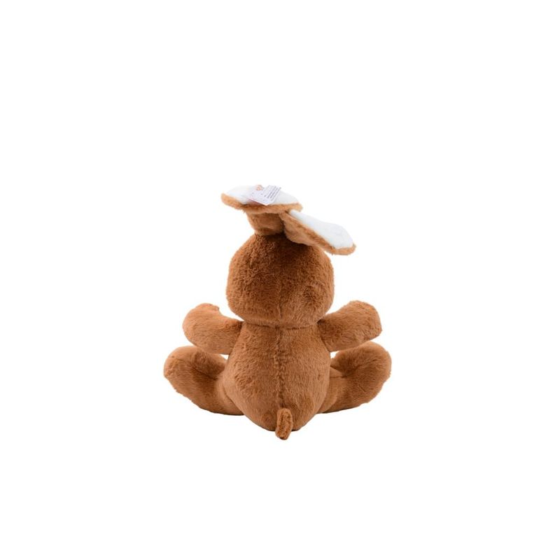 Pelucia---Coelho-Pascoa---40-cm---Modelos-Sortidos---FunFan-4