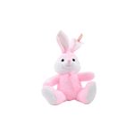 Pelucia---Coelho-Pascoa---40-cm---Modelos-Sortidos---FunFan-5