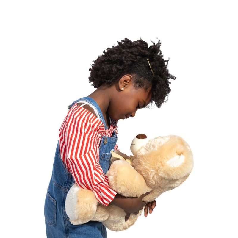 Urso-de-Pelucia---35-cm---Modelos-Sortidos---FanFun-7