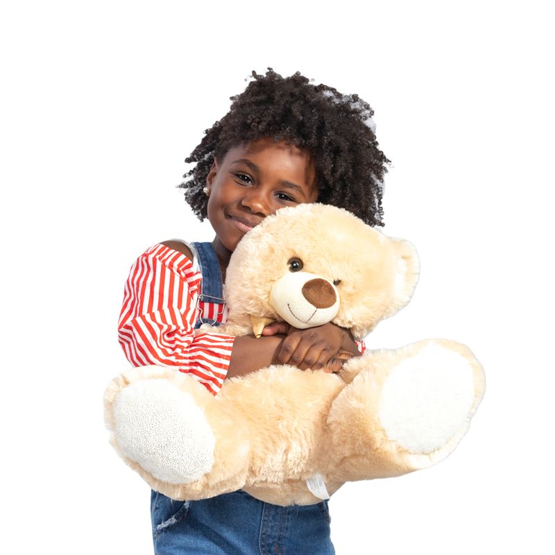Urso-de-Pelucia---35-cm---Modelos-Sortidos---FanFun-12