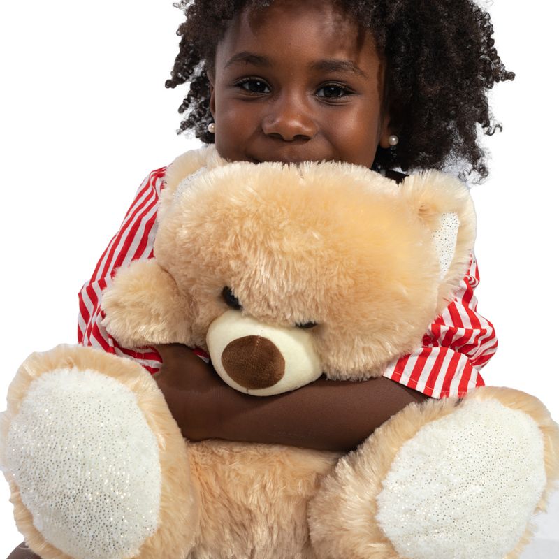 Urso-de-Pelucia---35-cm---Modelos-Sortidos---FanFun-13