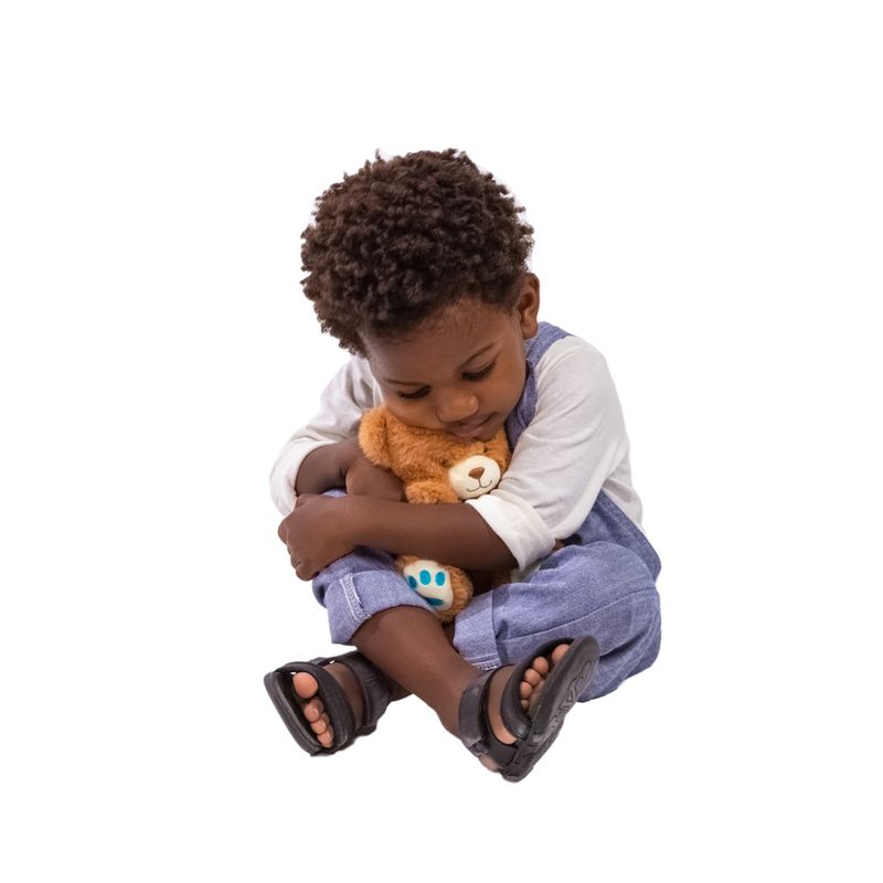Urso-de-Pelucia---20-cm---Modelos-Sortidos---FanFun-8