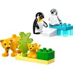 LEGO---DUPLO-Town---Familias-de-Animais-Selvagens--Pinguins-e-Leoes---10442-2