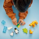 LEGO---DUPLO-Town---Familias-de-Animais-Selvagens--Pinguins-e-Leoes---10442-8