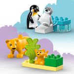 LEGO---DUPLO-Town---Familias-de-Animais-Selvagens--Pinguins-e-Leoes---10442-9