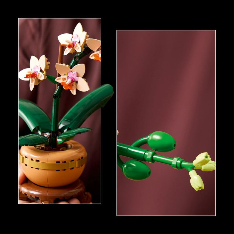 LEGO---Botanicals---Mini-Orquidea---10343-9