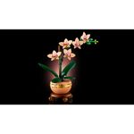 LEGO---Botanicals---Mini-Orquidea---10343-12