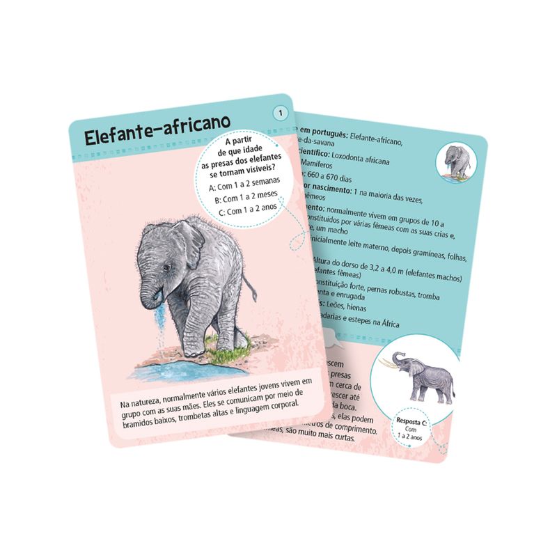 Jogo-de-Cartas---50-Filhotes---Galapagos-2