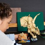 LEGO---Jurassic-World---Fosseis-de-Dinossauros--Caveira-de-Triceratops---76969-5