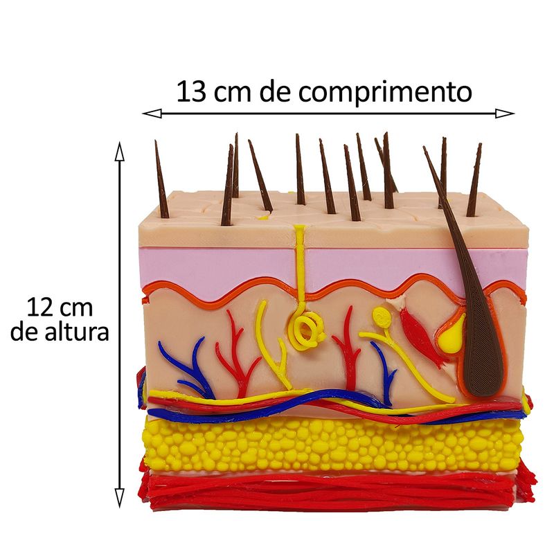 17352759769584