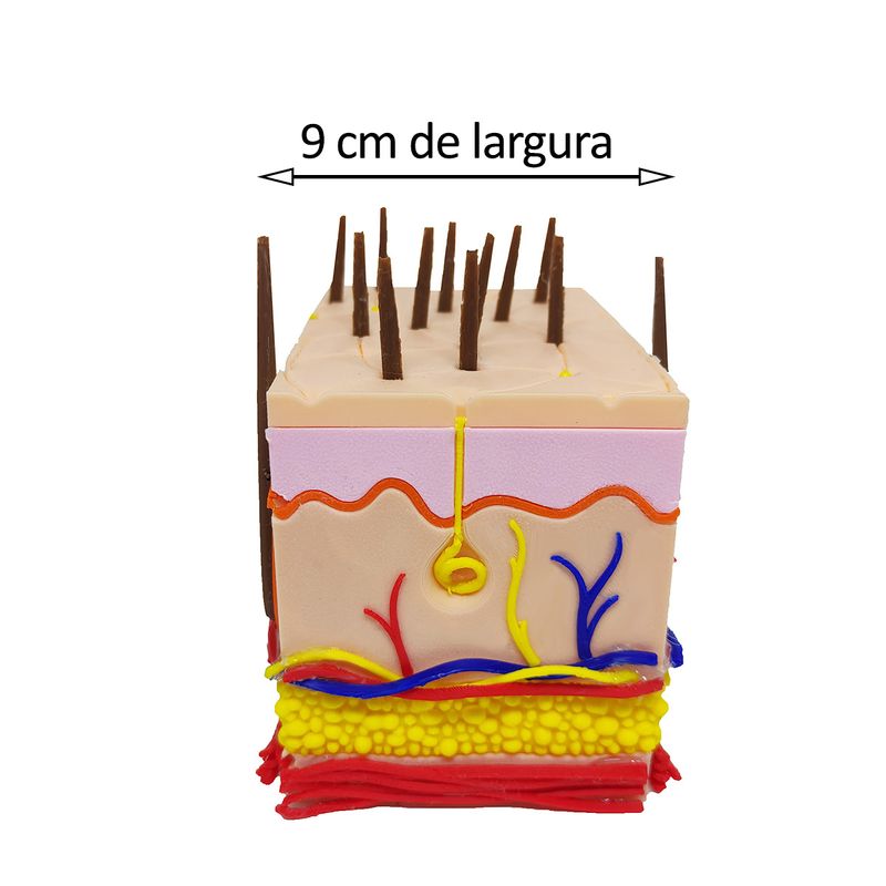 17352759756838