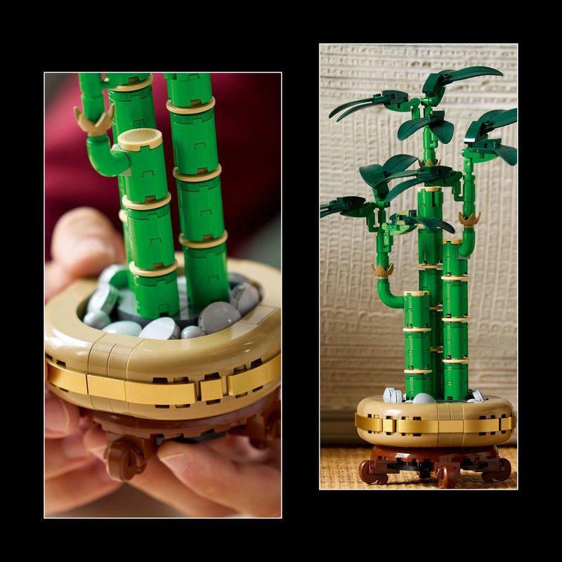 LEGO---Botanicals---Bambu-da-Sorte---10344-10