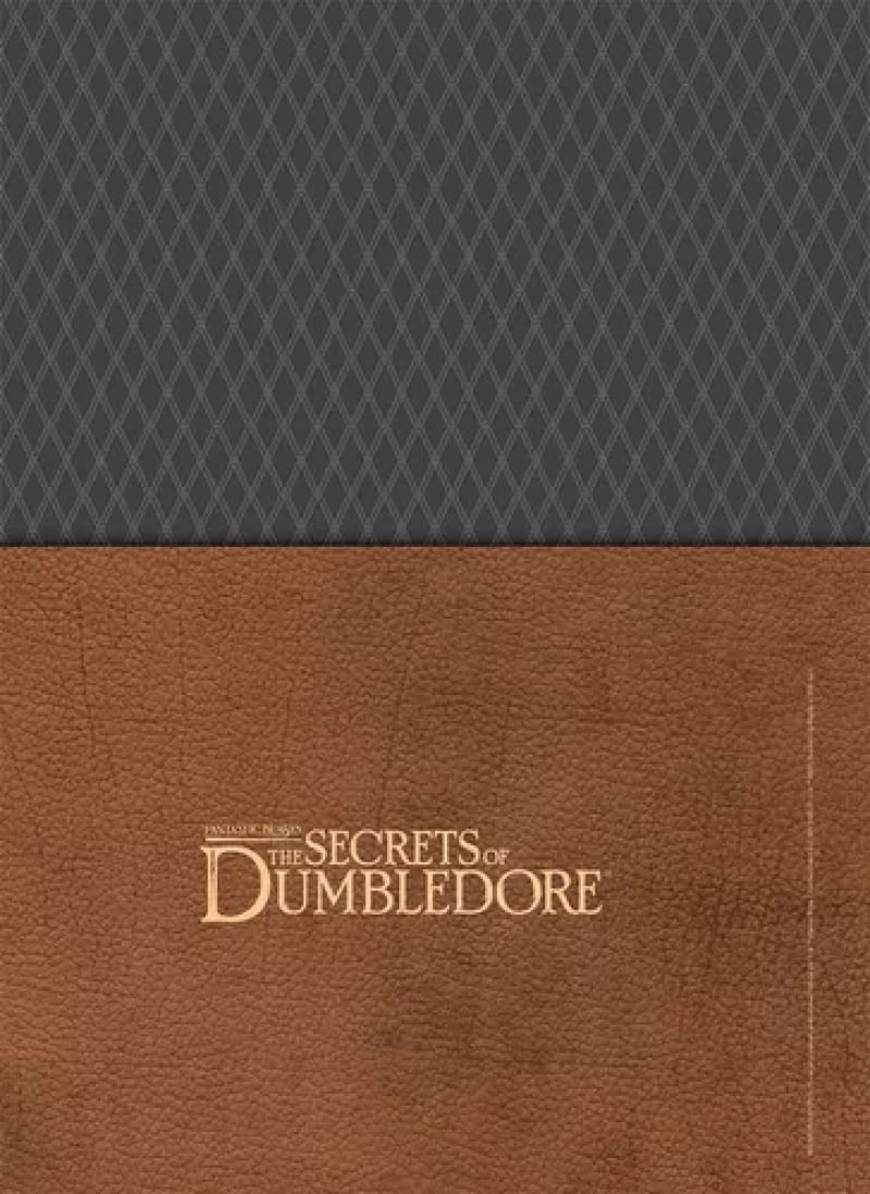 17367892550113