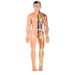 Jogo-Educativo---Jogo-Anatomia---Grow-2