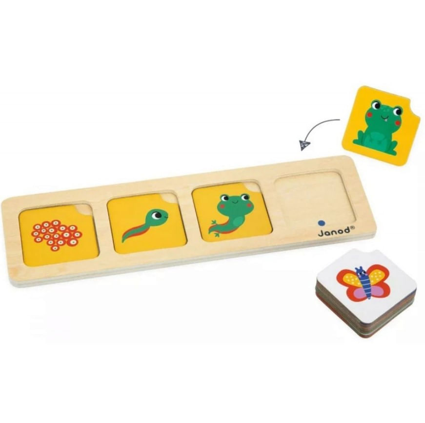 Jogo De Evolução Janob J05083