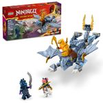 LEGO---Ninjago---Jovem-Dragao-Riyu---71810-1