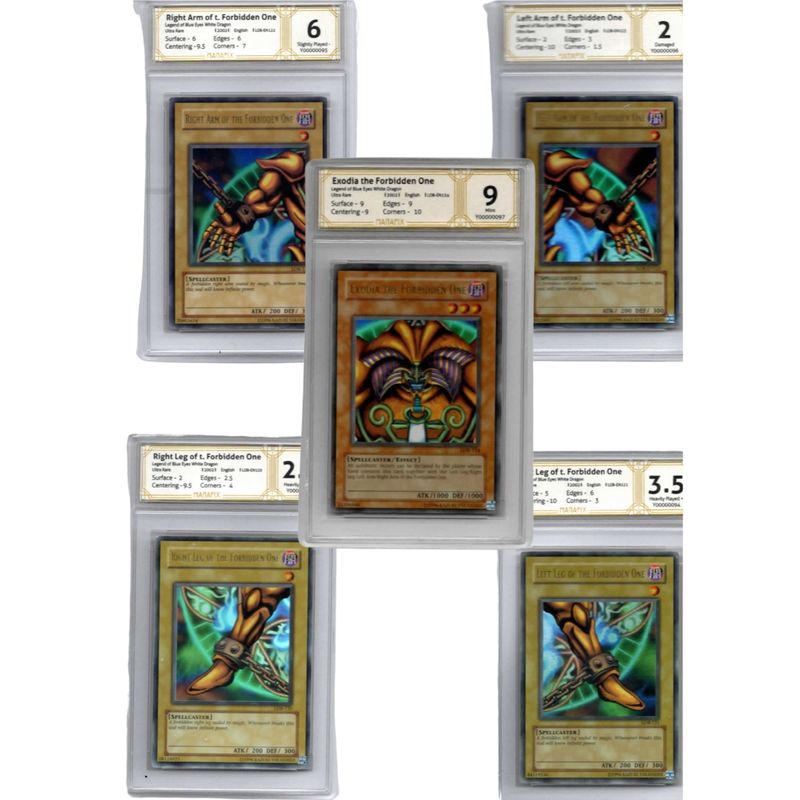 17375507565669