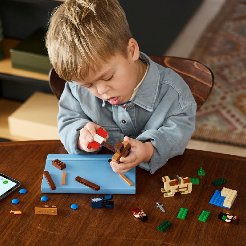 LEGO---Minecraft---A-Viagem-Do-Barco-Pirata---21259-5
