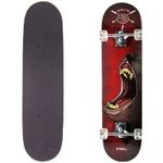 skate-skateboard-semi-pro-bel-sports-bel-fix_detalhe2