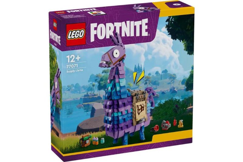 17380076253348