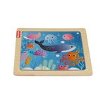 Meu-Primeiro-Quebra-cabeca-de-Madeira---Modelos-Sortidos---Fisher-Price-17