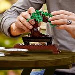 LEGO---Bonsai---10281--7