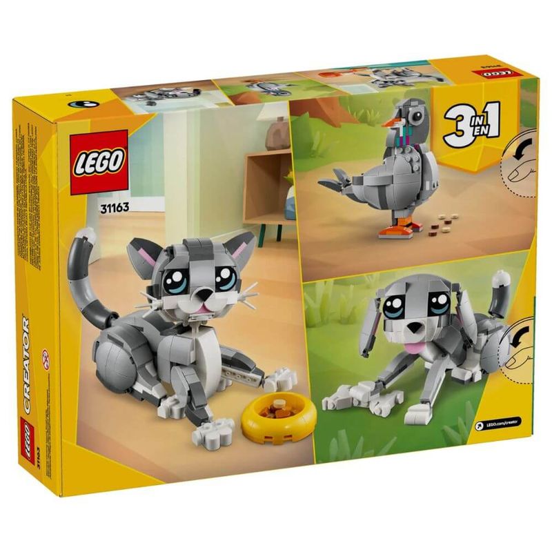17408375674020
