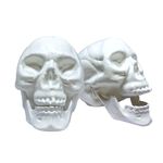 Acessorio-Decorativo---Cranio-Com-Mandibula---Gala-0