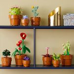 LEGO---Botanicals---Plantinhas---10329-6