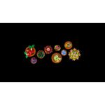 LEGO---Botanicals---Plantinhas---10329-11