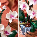 LEGO---Botanicals-Orquidea---10311-10
