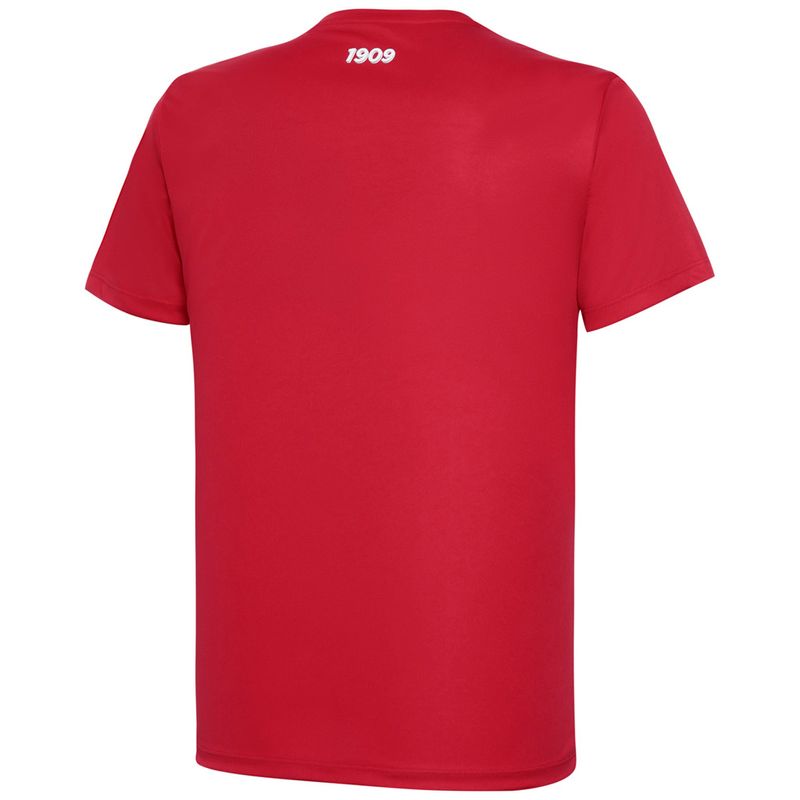 Camiseta-de-Futebol---Internacional-1909---Vermelha---14---Betel-Sport-1