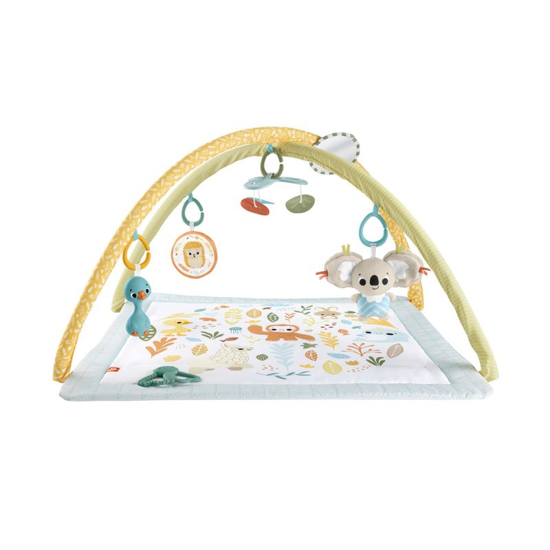 Tapete-de-Atividades---Fisher-Price---Primeiros-Sentidos---Mattel-1