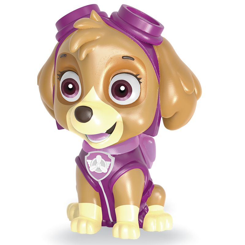 Cofrinho---Patrulha-Canina---Skye---Lider---------------0