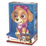 Cofrinho---Patrulha-Canina---Skye---Lider---------------1