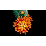 LEGO---BOTANICALS---Crisantemo---10368-11