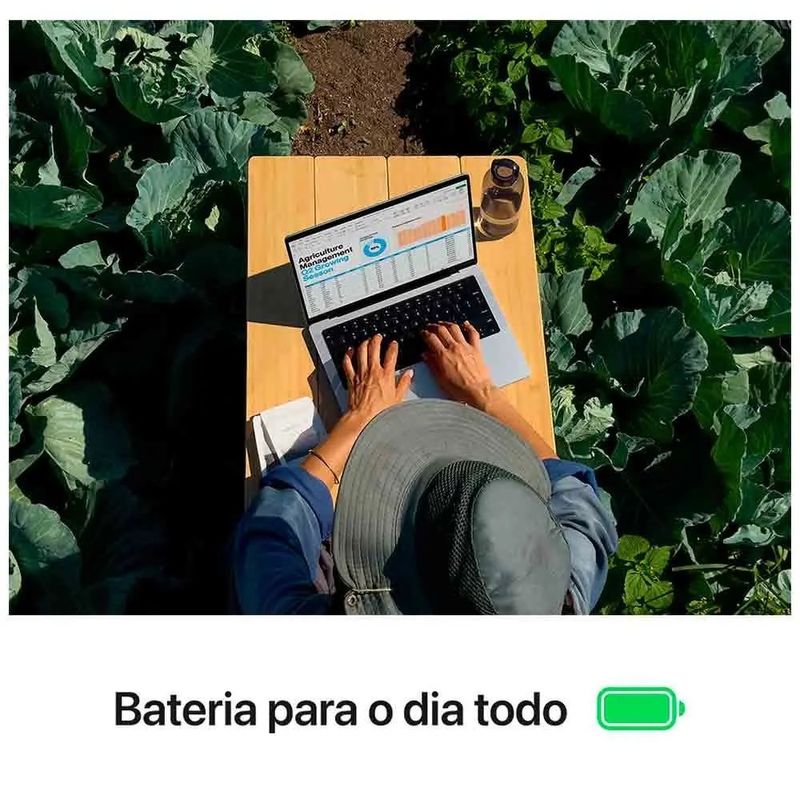 17433326844383