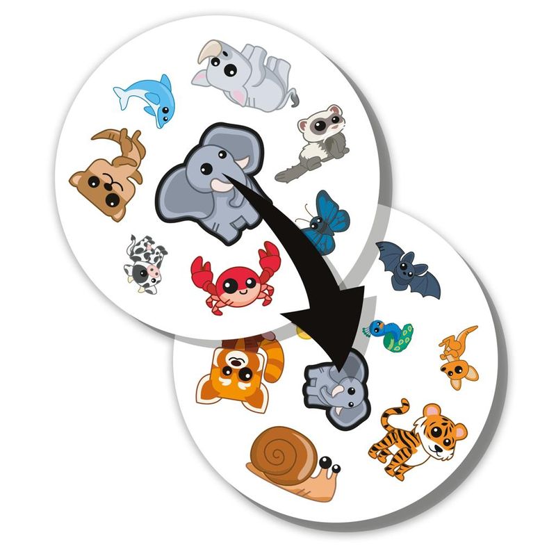 Jogo-de-Cartas---Dobble---Animais---Galapagos-3