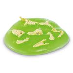 Conjunto-de-Figuras---Smashers-Dino-Island---Piratas-Pequeno---Surpresa---Fun-10