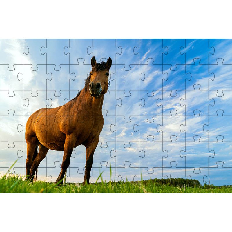 17476814964170