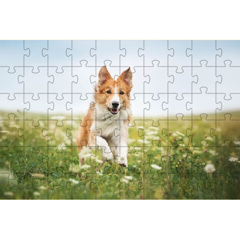 17476815044493