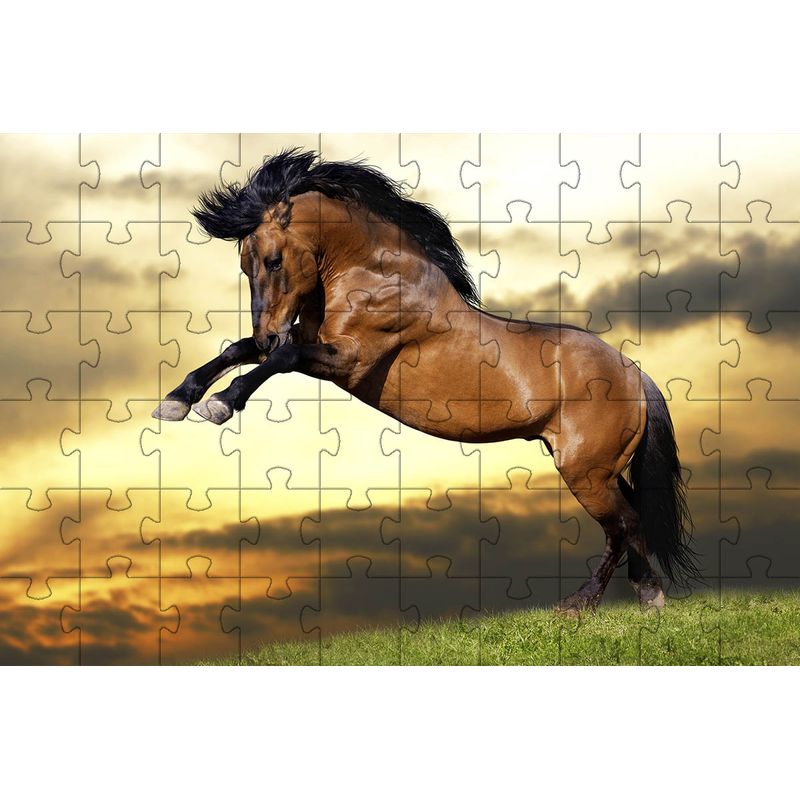 17476814907978