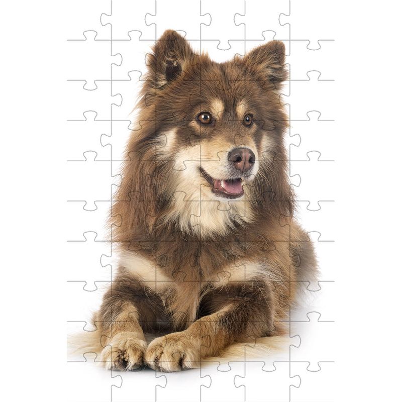 17476815070708