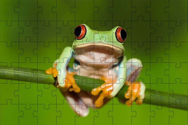 17476815774350